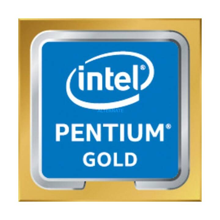 HEWLETT PACKARD ENTERPRISE ProLiant MicroServer Gen10 Plus v2 Entry (Intel Pentium Gold, 16 GB, 4.1 GHz)
