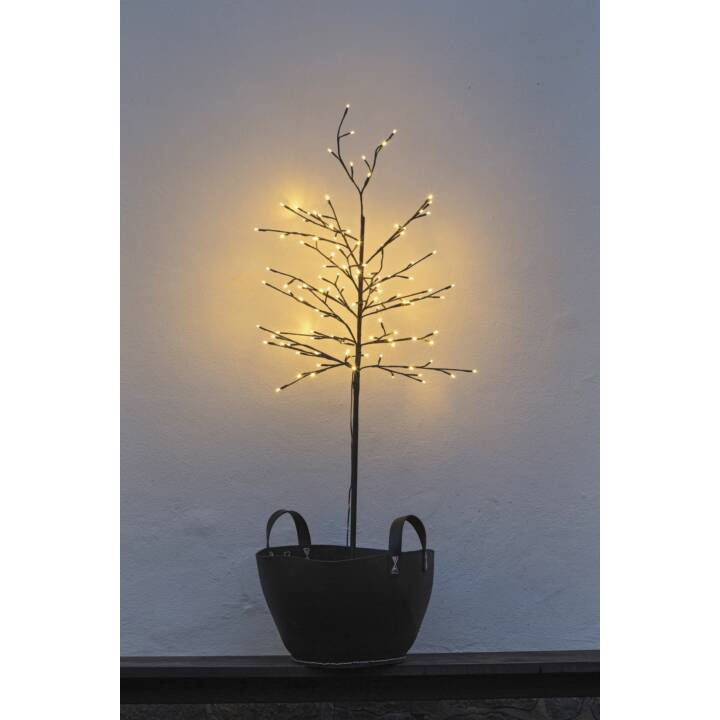 Arbre SIRIUS Noah 150cm