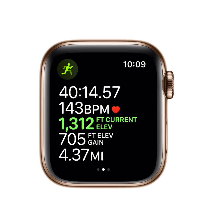 APPLE Watch Series 5 GPS + LTE Gold/Stein (40 mm, Edelstahl, Silikon) -  Interdiscount