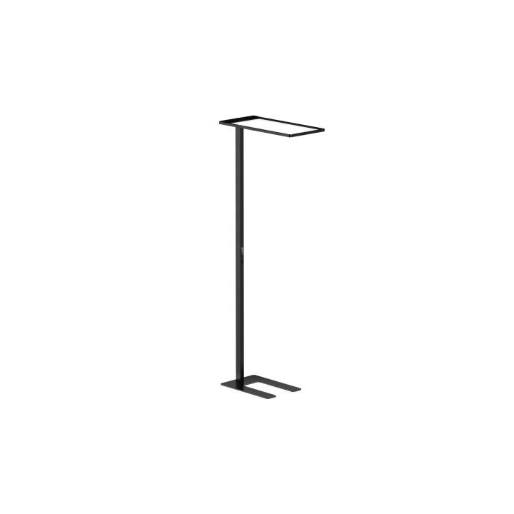 SCHOENENBERGER Lampadaire (192.5 cm)