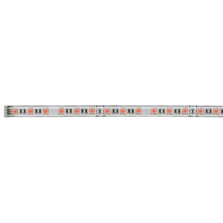 PAULMANN MaxLED LED Light-Strip (1 m)