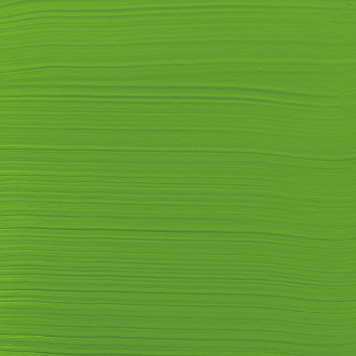 AMSTERDAM Colore acrilica (120 ml, Verde, Multicolore)