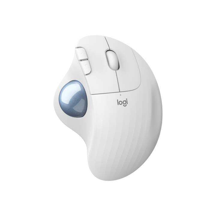 LOGITECH Ergo M575 Maus (Kabellos, Office)