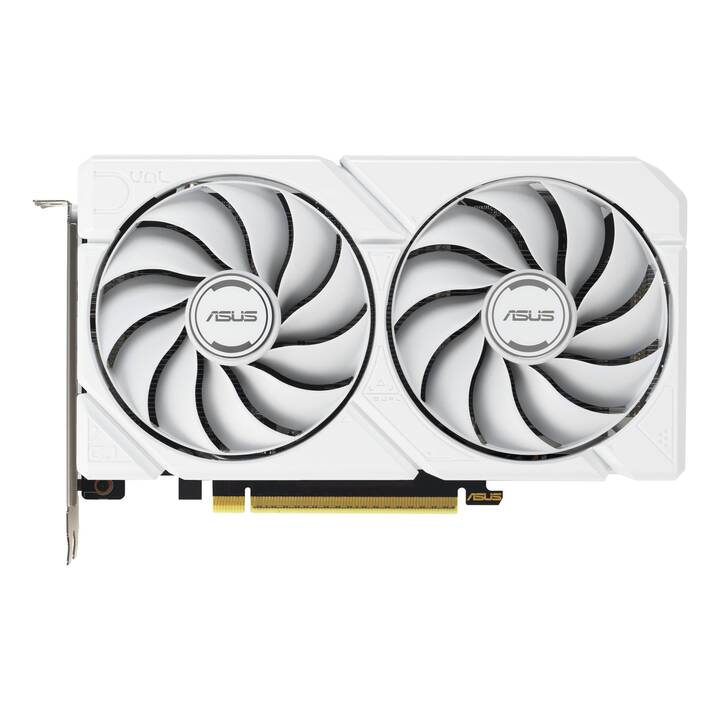 ASUS AMD Radeon RX 9060 XT Dual FH Dual (16 GB) - Interdiscount