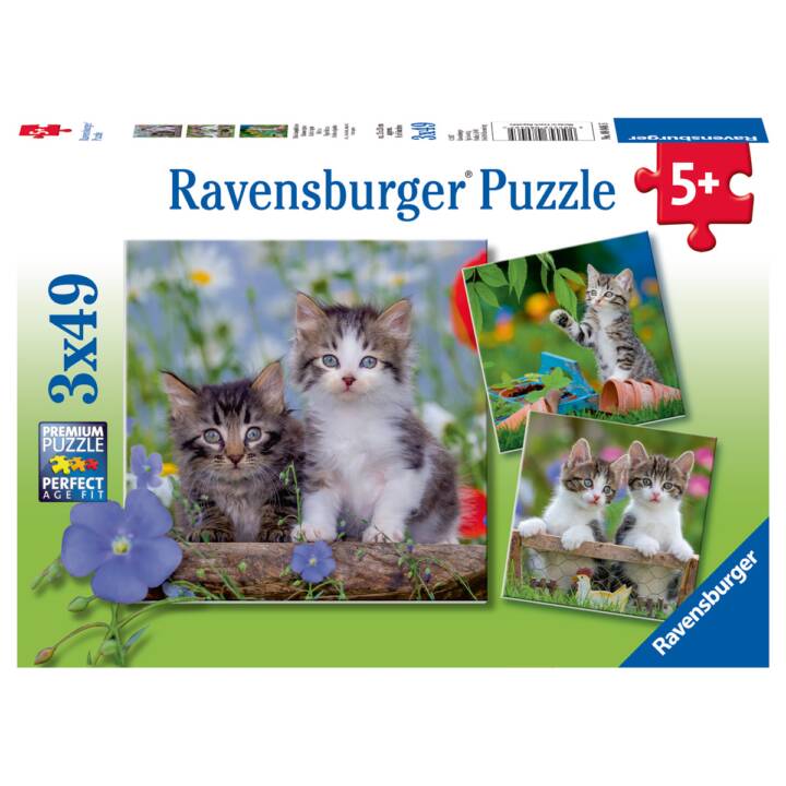 RAVENSBURGER Animali Puzzle 3D (3 x 147 x, 49 x)