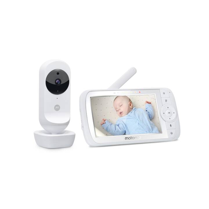 MOTOROLA Monitor per bambini VM35 (Video)