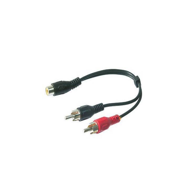 HDGEAR Câble de raccordement (Cinch, 0.1 m)