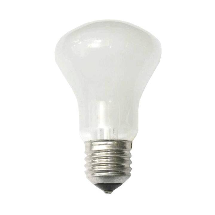 ELINCHROM Ampoule flash (Blanc)