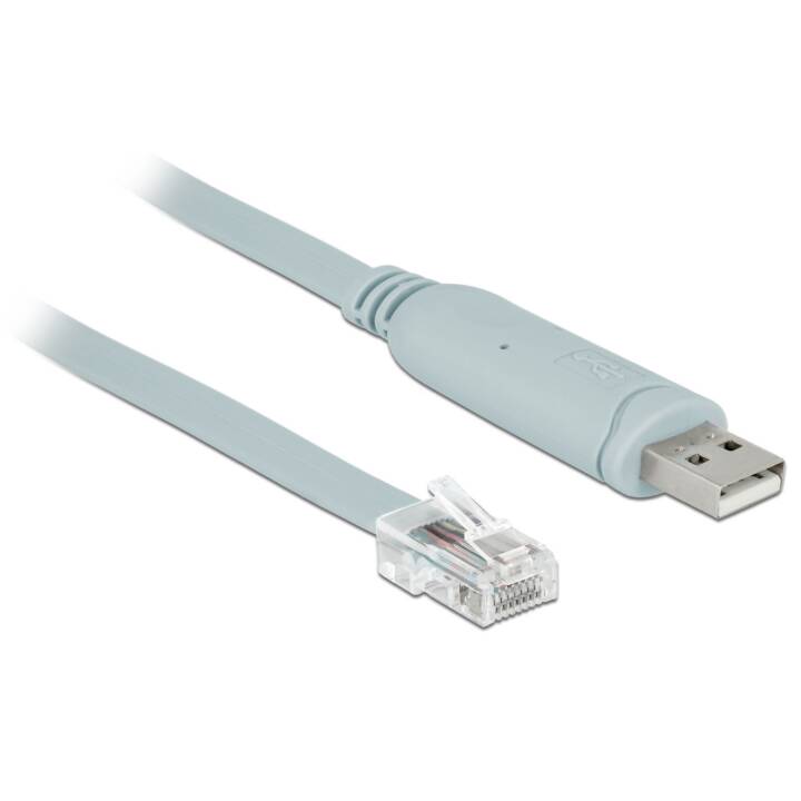 DELOCK Verbindungskabel (USB 2.0 Typ-A, RJ-45, 5 m)