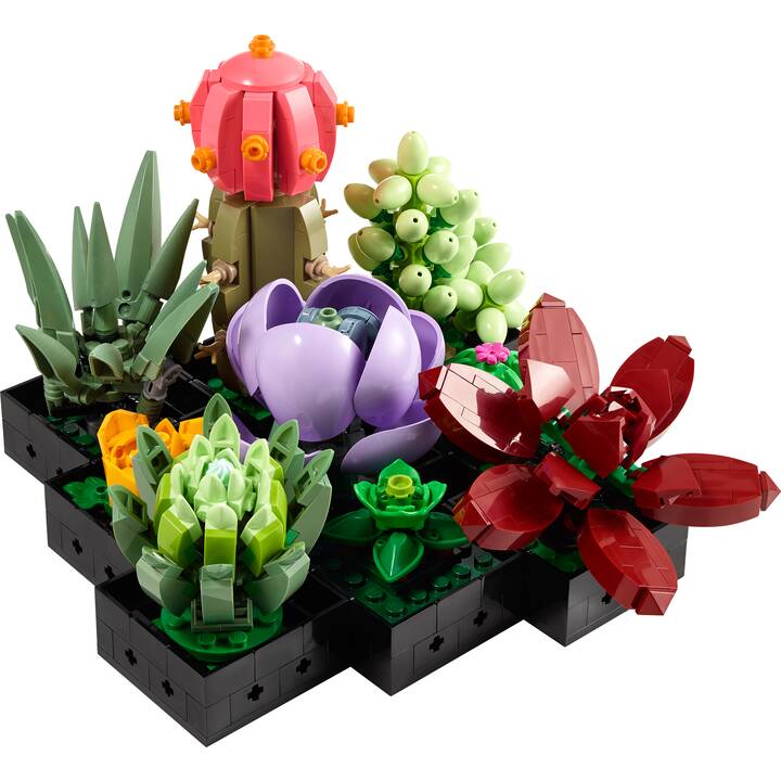 LEGO Icons Les succulentes (10309, Difficile à trouver)