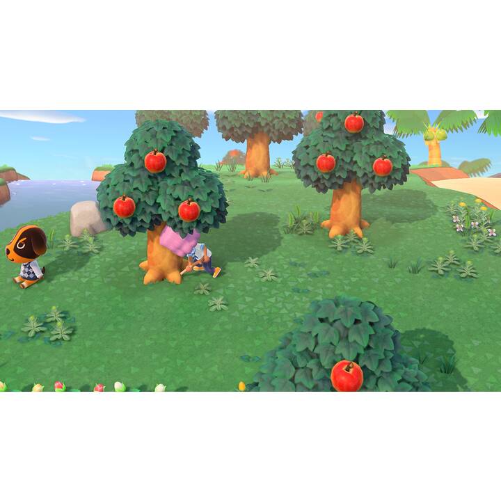 Animal Crossing: New Horizons (DE, IT, FR)