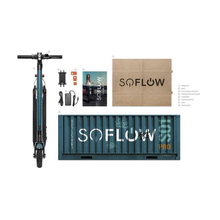 SOFLOW SO1 Pro (20 km/h, 300 W)
