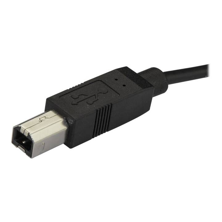 STARTECH.COM USB-Kabel (USB Typ-B, USB 2.0 Typ-C, 2 m)