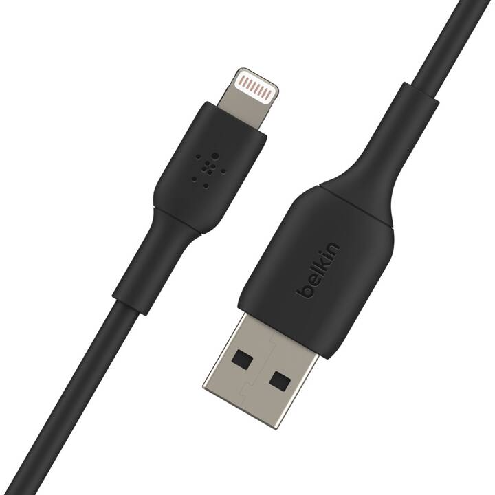 BELKIN Boost Câble (Lightning, USB 2.0 Type-A, 15 cm)
