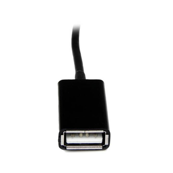 STARTECH.COM Cavo (Presa USB 2.0 di tipo A, Spina 30 Pin, 15.24 cm)