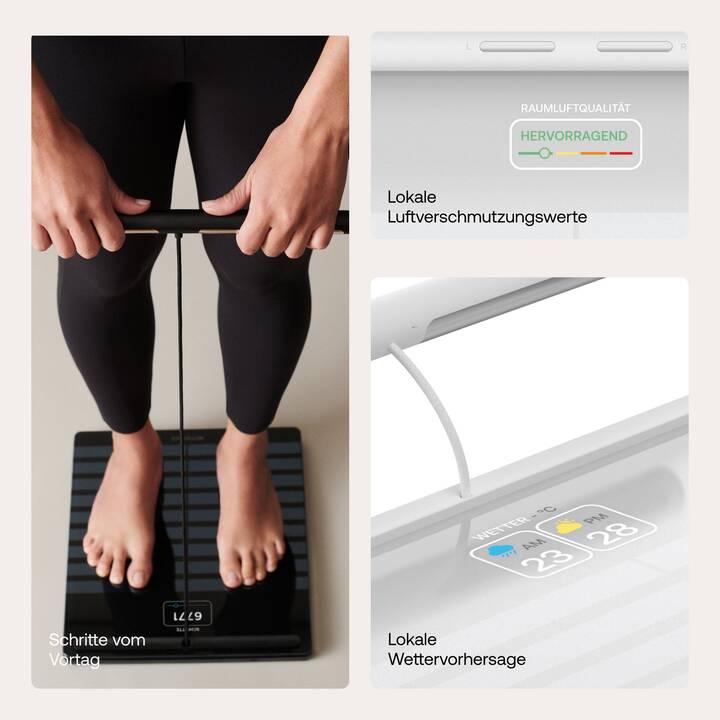 WITHINGS Pesapersone  Body Scan