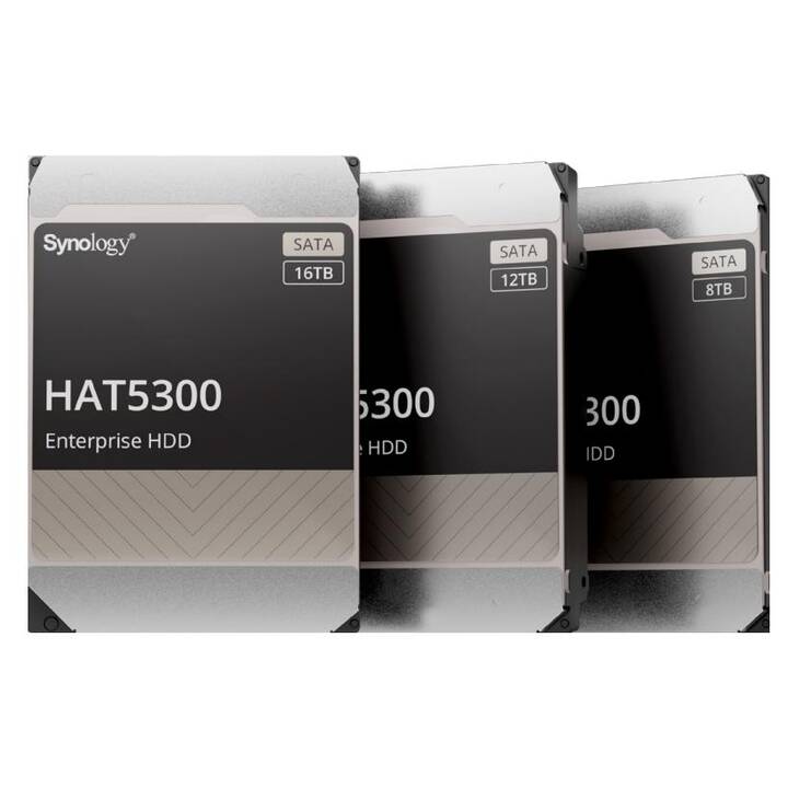 SYNOLOGY HAT5300 (SATA-III, 12 TB)