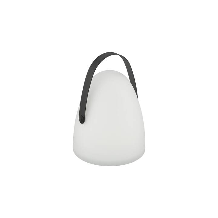 EGLO Lampe de table (1 W, Noir, Blanc)