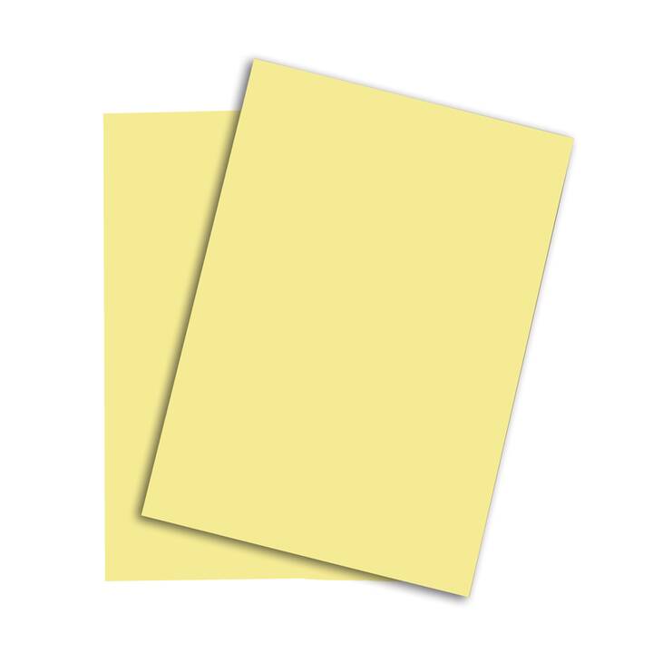 PAPYRUS Papier couleur (250 feuille, A4, 160 g/m2)