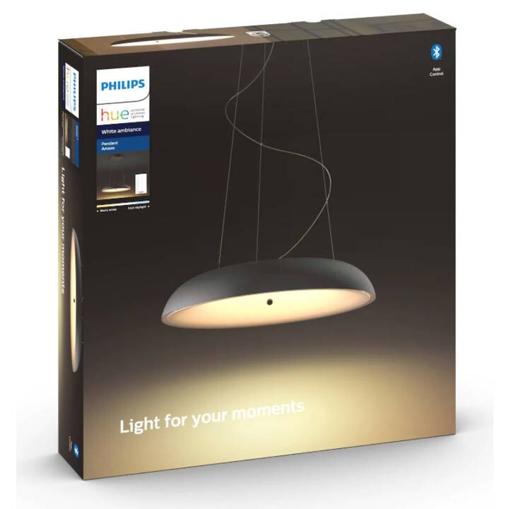 PHILIPS HUE Lampes à suspension Hue Amaze Basis BT (LED)