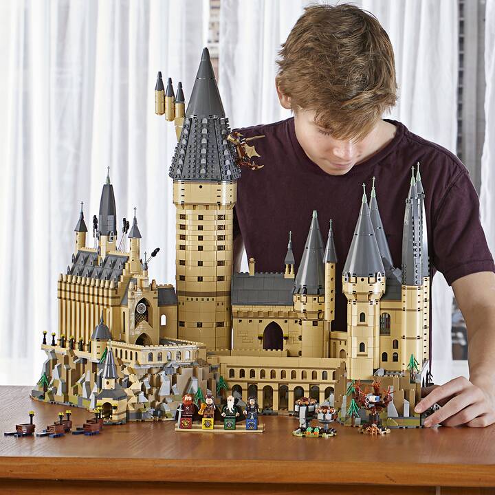 LEGO Harry Potter Schloss Hogwarts (71043, seltenes Set)