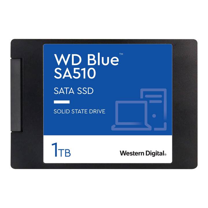 WESTERN DIGITAL WDS100T3B0A (SATA-III, 1000 GB)