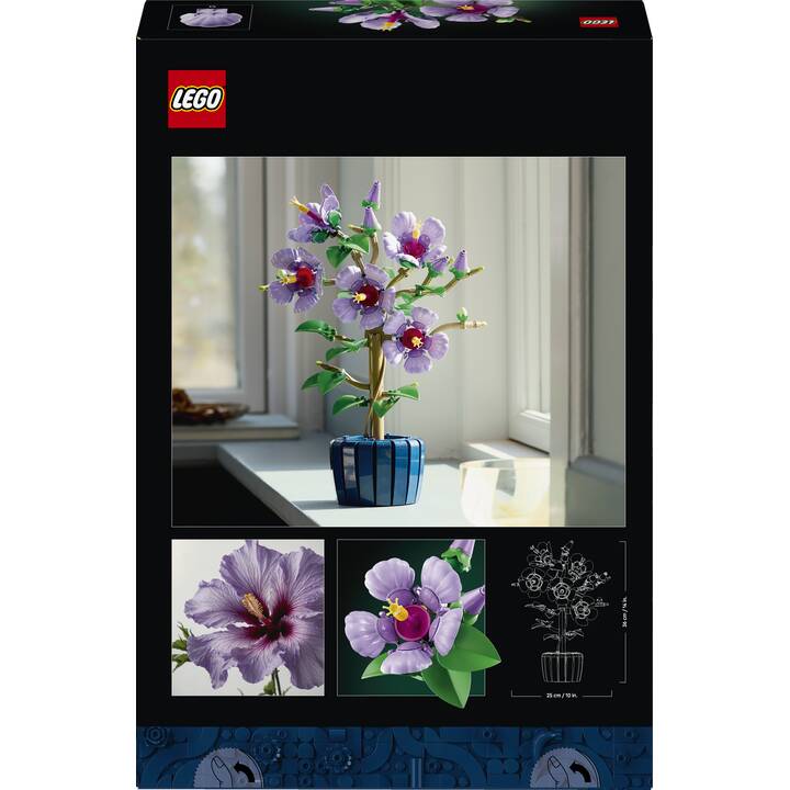 LEGO Botanicals Hibiskus (10372, seltenes Set) - Interdiscount