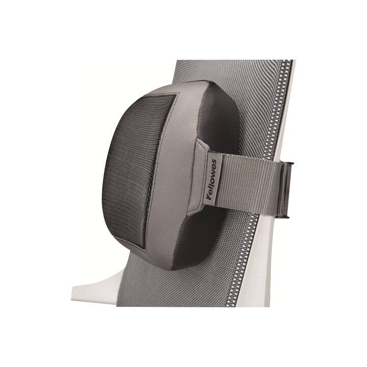 supregear Ceintures Lombaires, Support Dorsal Réglable et Respirant