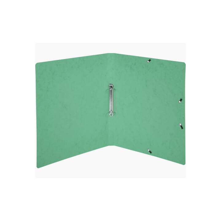 EXACOMPTA Couverture à anneaux Top Color (A4, 20 mm, Vert)