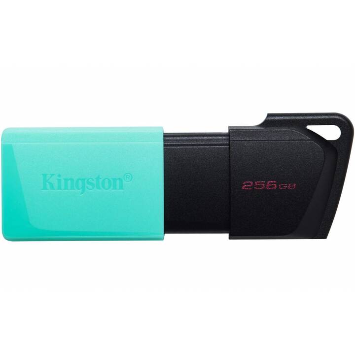KINGSTON TECHNOLOGY DataTraveler Exodia M (256 GB, USB 3.2 Typ-A)