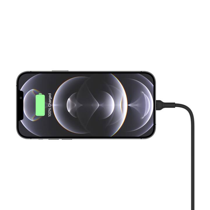 BELKIN Chargeur auto Boost Charge (10 W, Allume-cigare, USB de type C)
