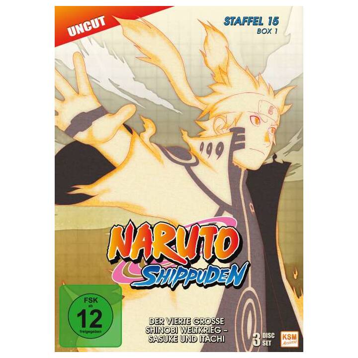 Naruto Shippuden Box 1 Saison 15 (DE, JA)