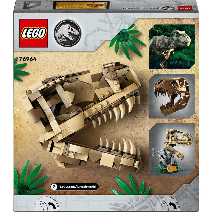 Image du produit 8