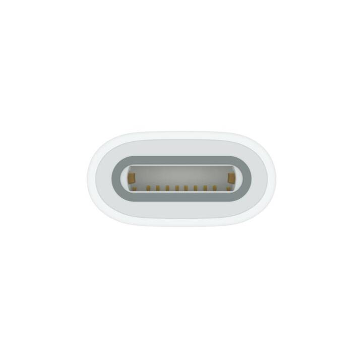 APPLE Pencil Adapter USB-Kabel (USB-C, ohne Stecker, USB Typ-C, Lightning)