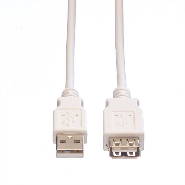 VALUE Câble USB (USB A, USB de type A, 3 m)