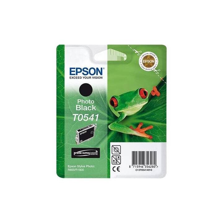 EPSON T0541 (Schwarz, 1 Stück)