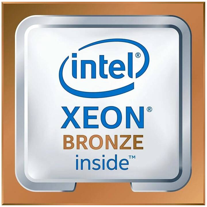 HEWLETT PACKARD ENTERPRISE ProLiant ML110 Gen11 (Intel Xeon Bronze, 32 GB, 1.8 GHz)