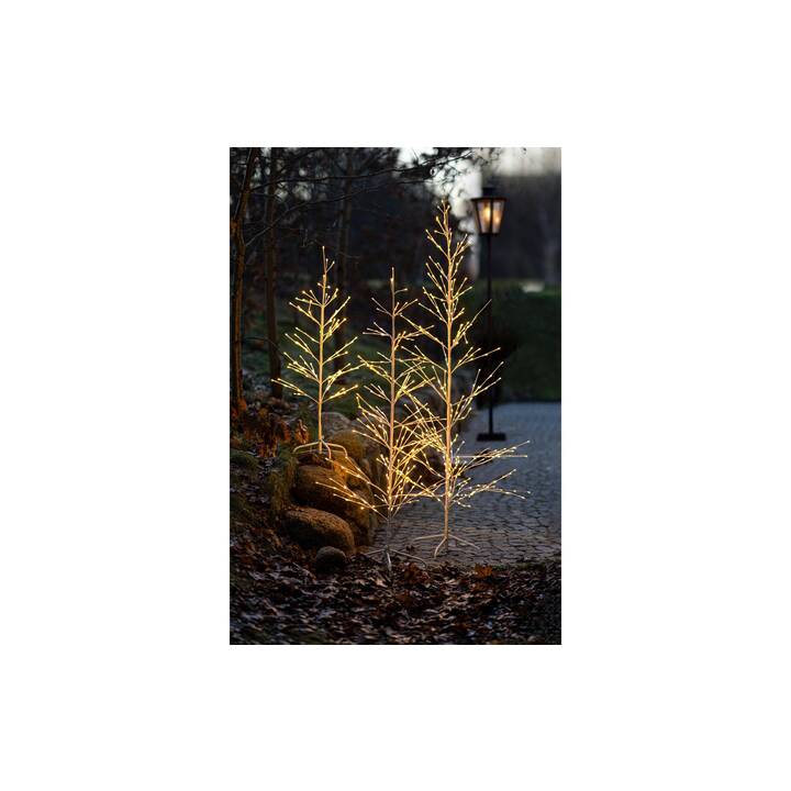 SIRIUS Lumières de noël