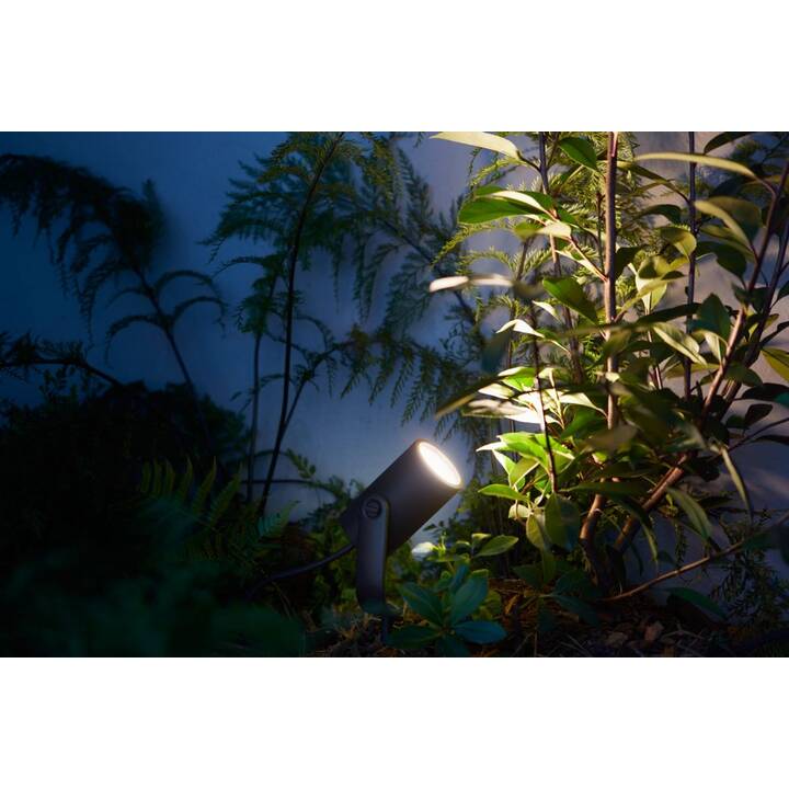 PHILIPS HUE Bornes lumineuses Lily Basis (LED, 8 W, Anthracite)