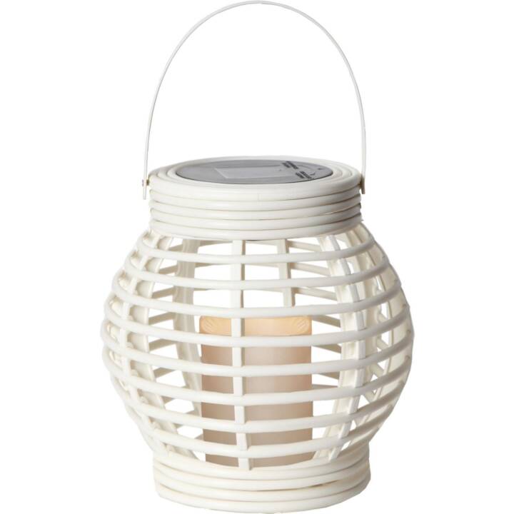 STAR TRADING Luce solare Rotang (0.03 W, Bianco)