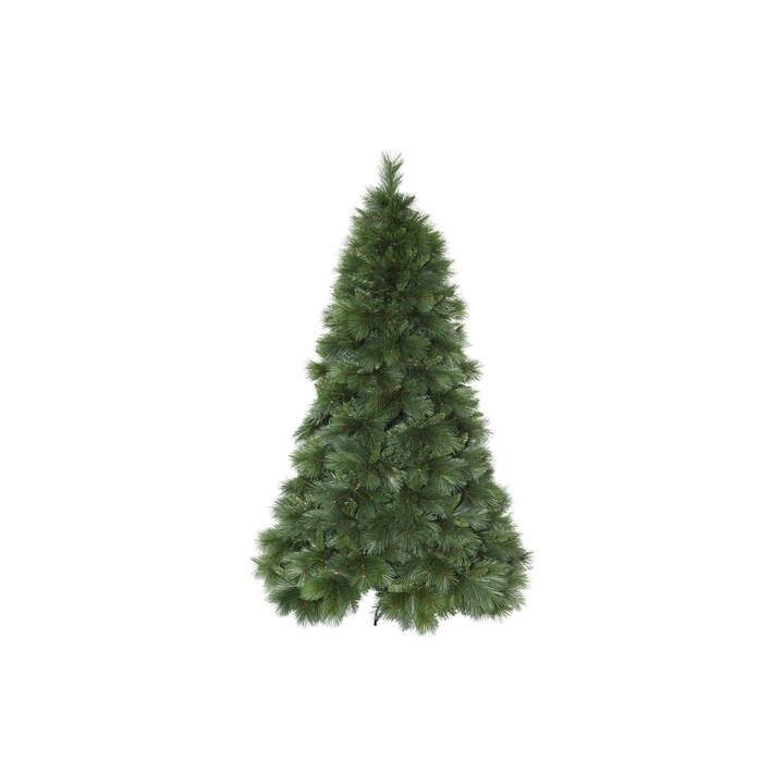 STAR TRADING Weihnachtsbaum (240 cm)
