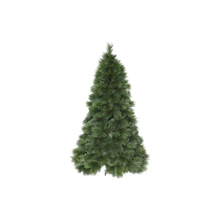 STAR TRADING Albero di Natale (240 cm)