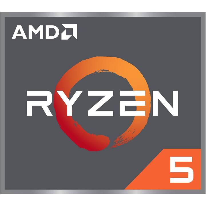 HP 255 (15.6", AMD Ryzen 5, 16 GB RAM, 256 GB SSD)