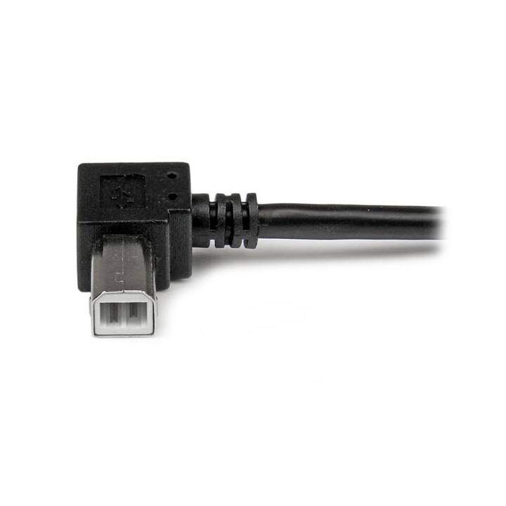 STARTECH.COM USB-Kabel (USB B, USB 2.0 Typ-A, 2 m)