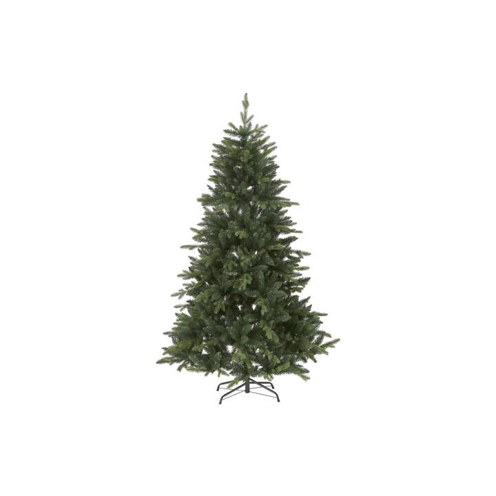 STAR TRADING Weihnachtsbaum (180 cm)