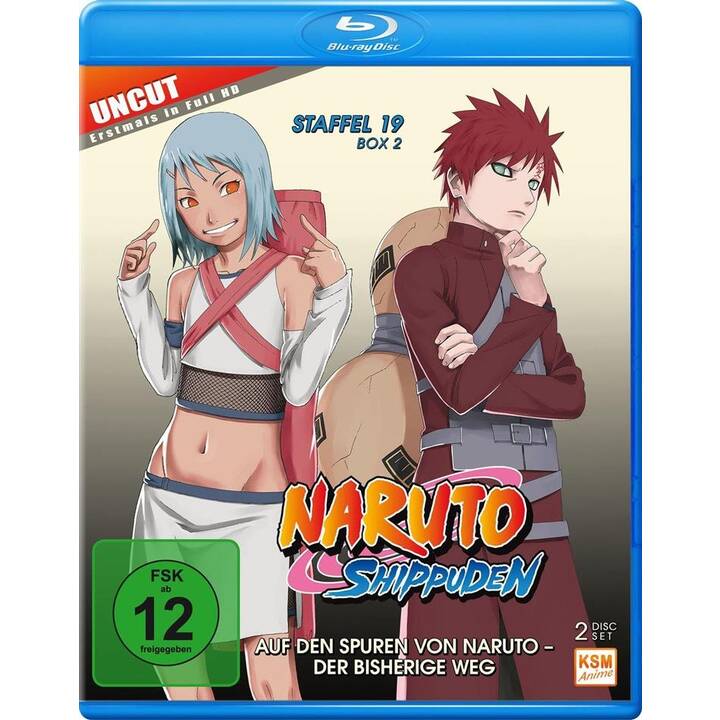 Naruto Shippuden Saison 19 (Uncut, DE, JA)