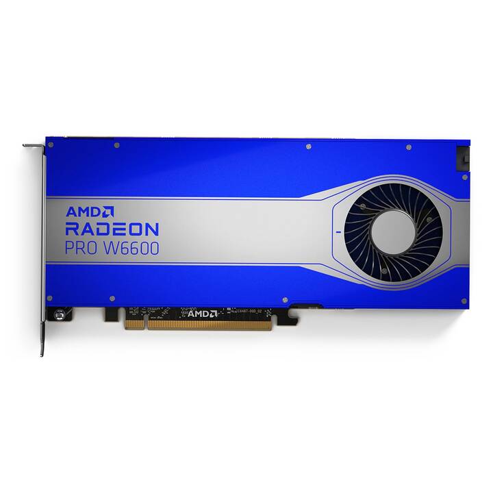 AMD AMD Radeon PRO W6600 (8 Go)