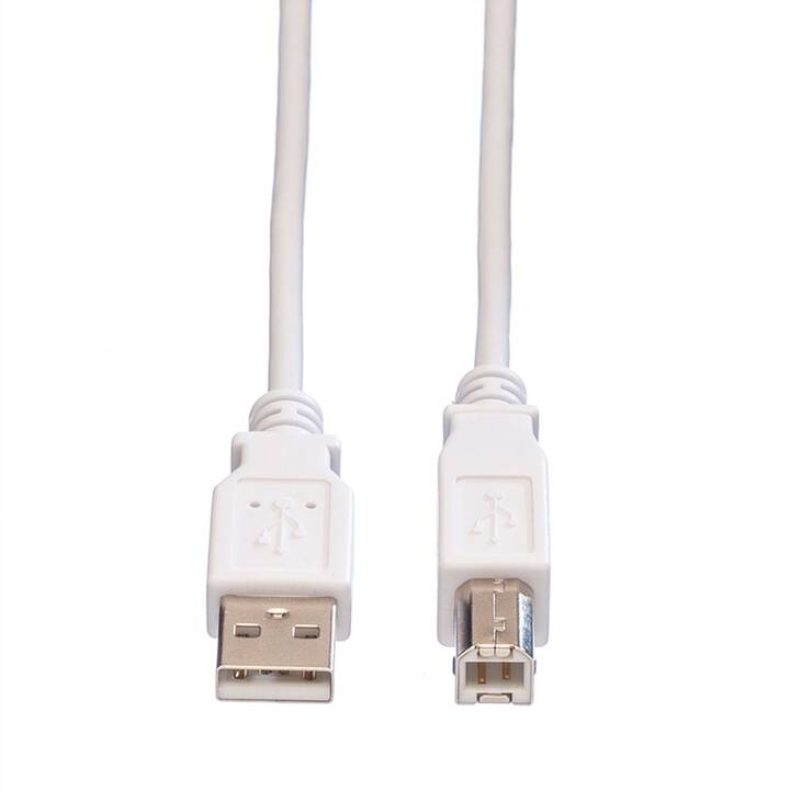 VALUE USB-Kabel (USB Typ-A, USB Typ-B, 80 cm)