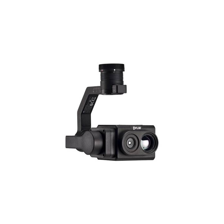 FLIR SYSTEMS Telecamera TZ20 (1 pezzo)