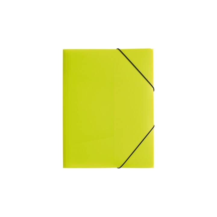 PAGNA Cartellina con elastico 21613-17 (Verde, A4, 1 pezzo)